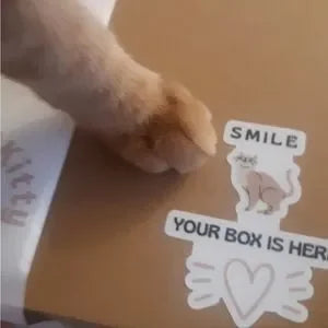 Mom Cat Themed Mystery Fun Box for Kitty Moms and Cats