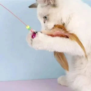 Mom Cat Themed Mystery Fun Box for Kitty Moms and Cats