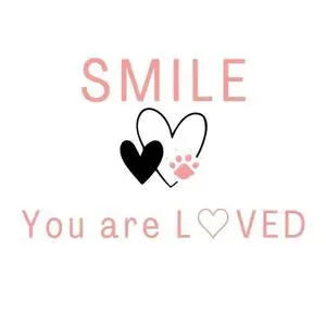 Mom Cat Themed Mystery Fun Box for Kitty Moms and Cats